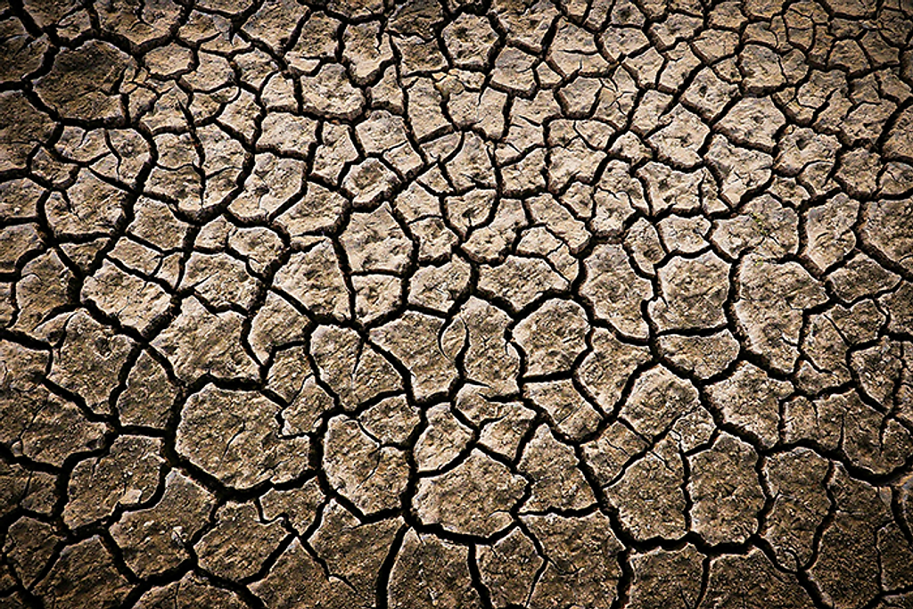 Close-up of dry, cracked earth.