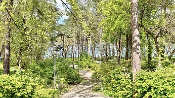 Wege und Bepflanzung im Kurpark des Ostseebads Baabe