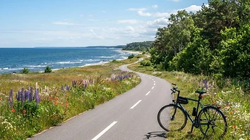 Flacher Radweg entlang der Ostseeküste zwischen Wiesen und Küstenwald