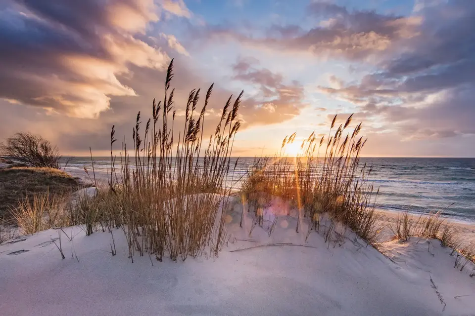 Düne mit Strandhafer am Ostseestrand im Morgenlicht