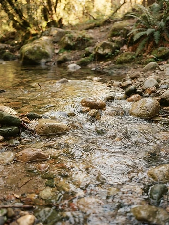Clear water flowing gently over smooth stones in a shallow creek
