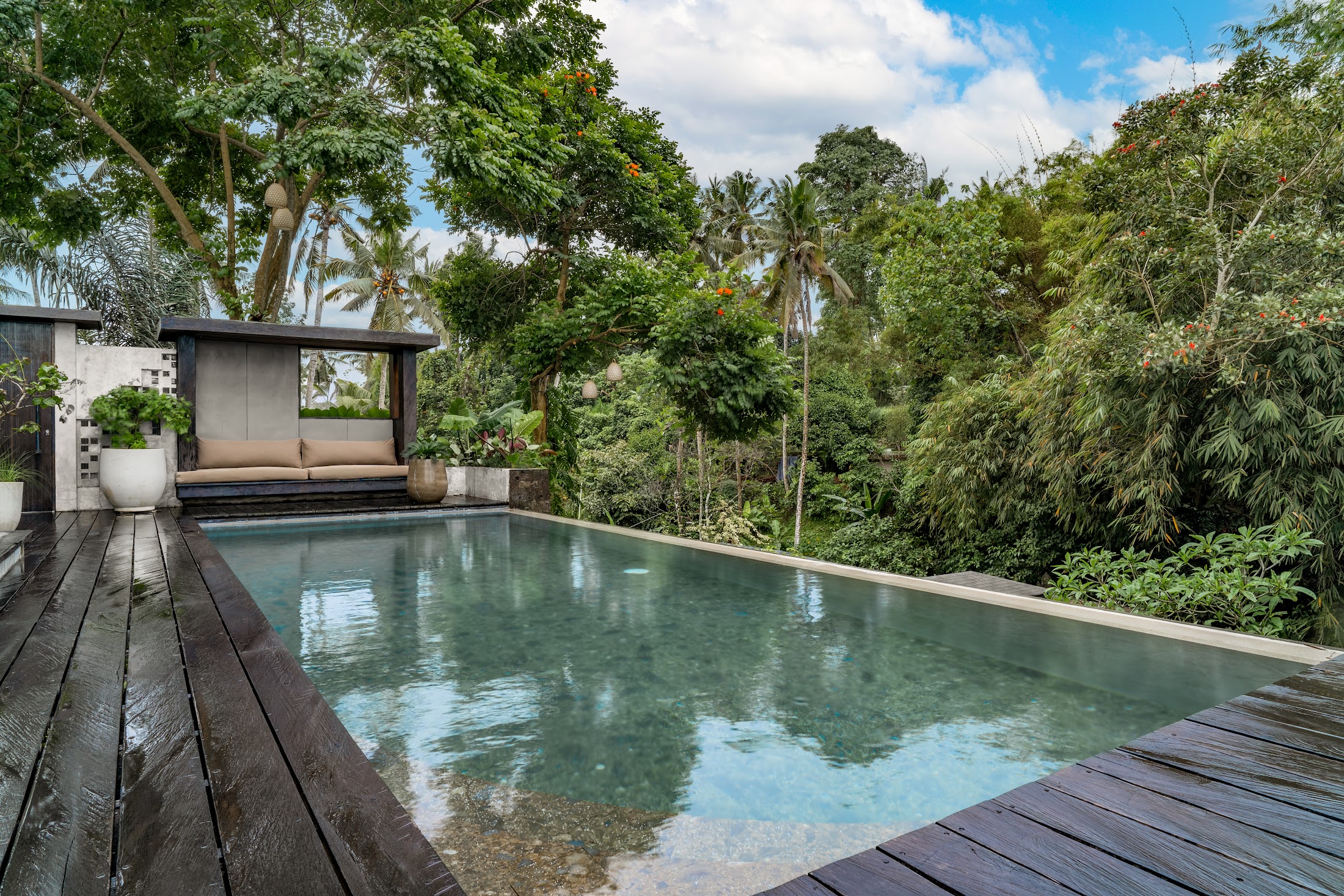 The pool, the palms