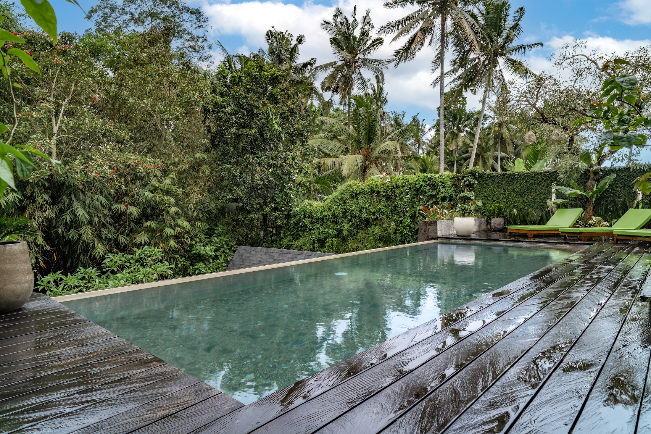 The pool facing the jungle