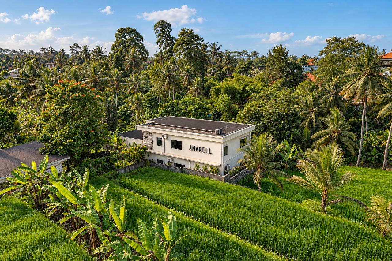 Amarell among the rice fields of Mas, Ubud