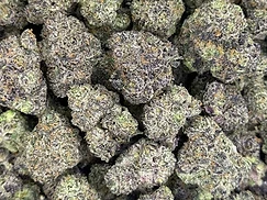 Boutique Exotics