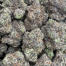 Rollinup Cali — Geeks — 1G