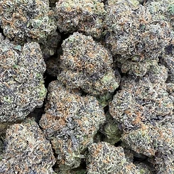 Rollinup Cali — Electric LCG