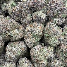 Rollinup Cali — Wizard Candy — 1G