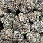 FREE 4G Exotic Candies Sample