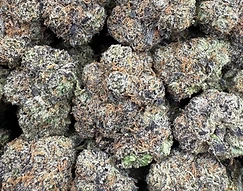 Rollinup Cali — Blue Suede