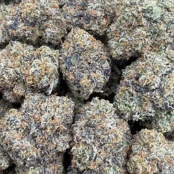 Rollinup Cali — Chrome Heart Crush