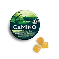 Camino — Sparkling Pear 5mg (Social)