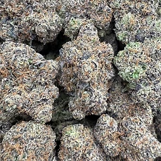 Rollinup Cali — Superman Gumbo — 1G