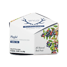 Wyld 100mg — Huckleberry 10mg (Playful · Hybrid)