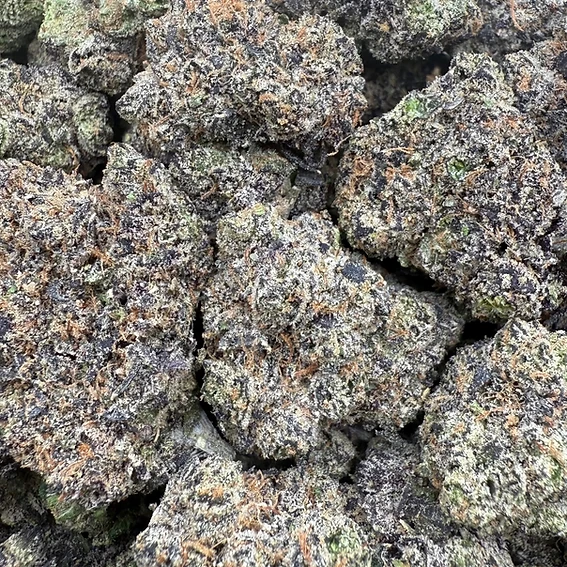 Rollinup Cali — Sour Candy Soda — 1G