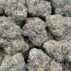 Rollinup Cali — Cherry Nuke