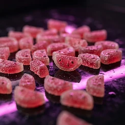 Rollinup Cali — Watermelon Wave Gummies