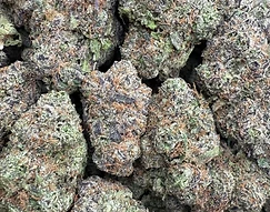 Rollinup Cali — Extremely Candy