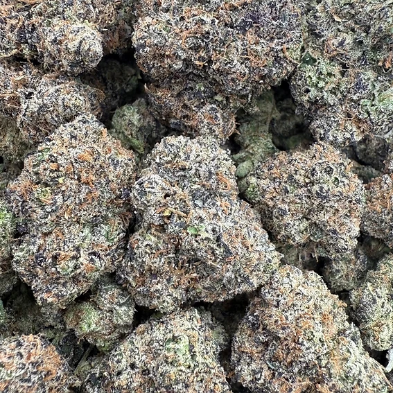 Rollinup Cali — Fully Baked — 1G