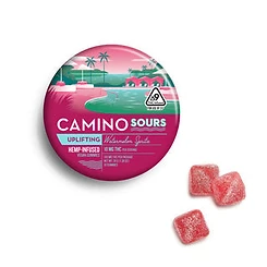 Camino Sours — Watermelon Spritz 10mg (Uplifting)