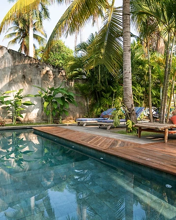 Swimming pool with coral lounge chairs surrounded by palm trees