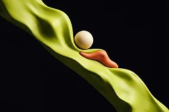 Lime and coral sculptural forms on an ink-black field