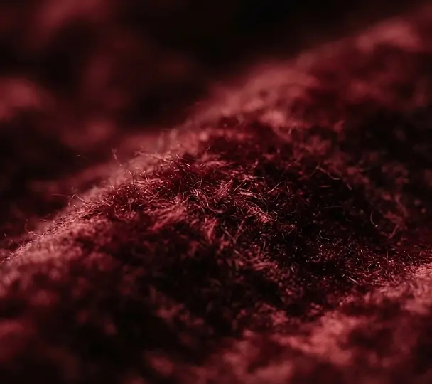 The red couch