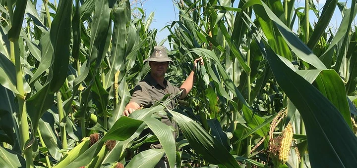 Agri for Africa farming operations