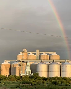 Grain storage, Agri for Africa, South Africa