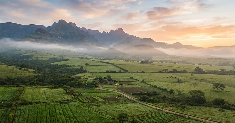 Panoramic African farmland meeting mountains at dawn
