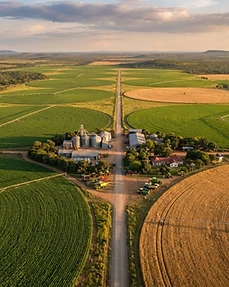 Farmland at first light in the Eastern Cape