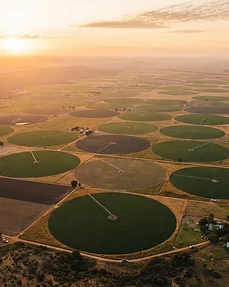 Centre-pivot irrigation at golden hour