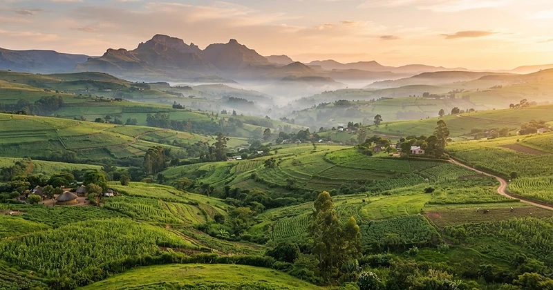 African farmland partnership