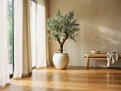 Sunlit serene living space with immaculate natural floors