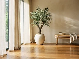 Residential Cleaning
