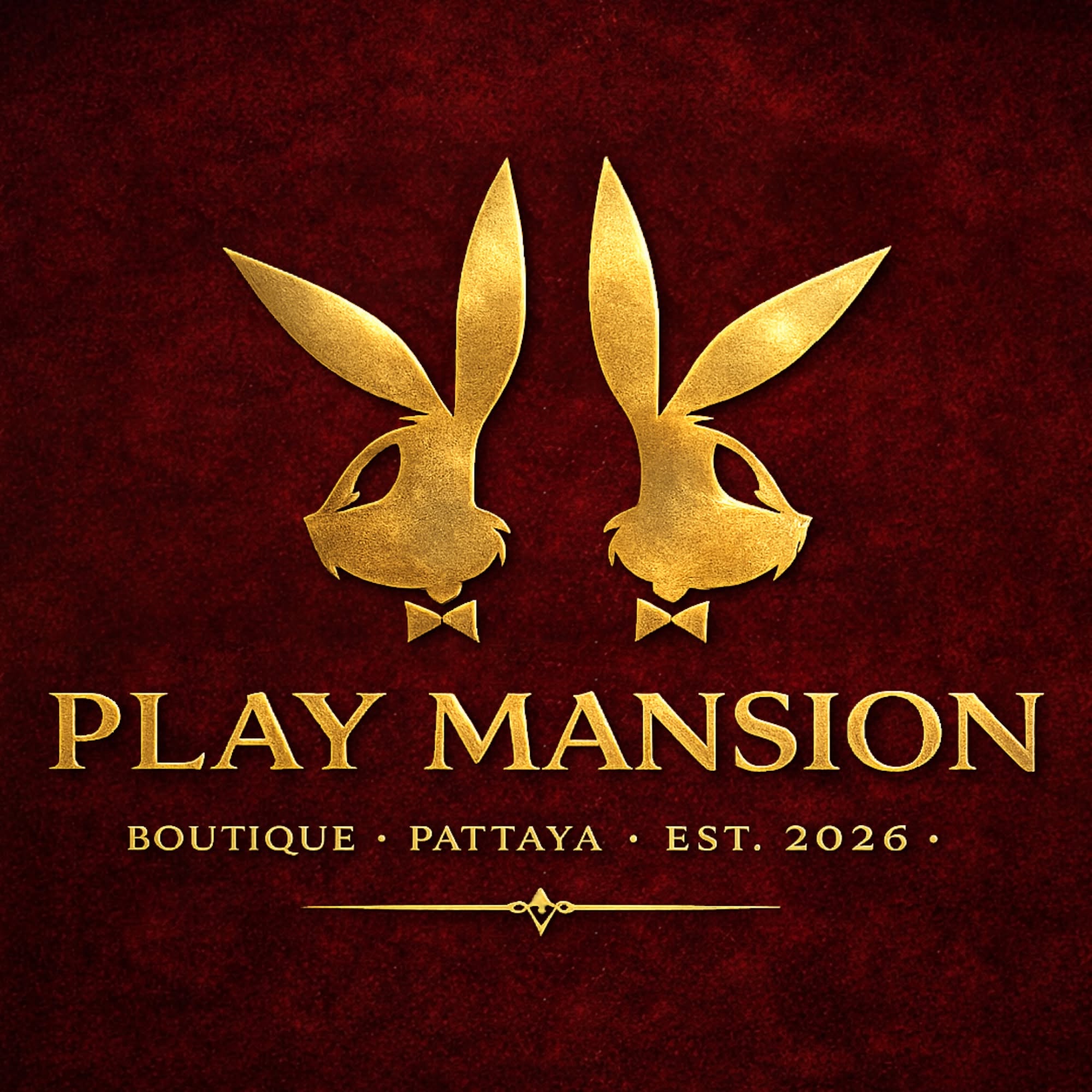 Play Mansion Pattaya logo