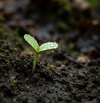 Technical Seminar on Integrated Crop Nutrition