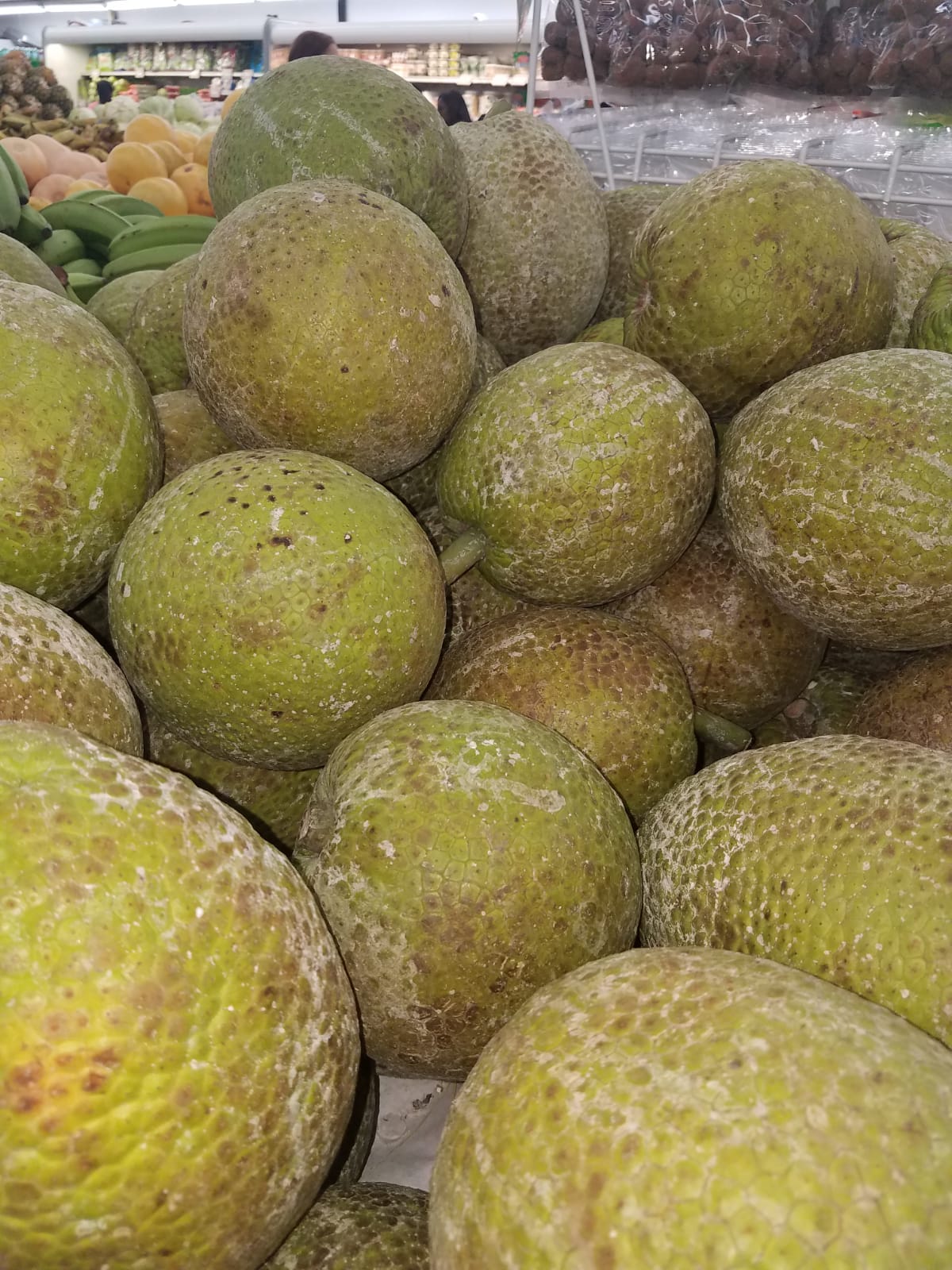 Fresh breadfruit stacked in a bin