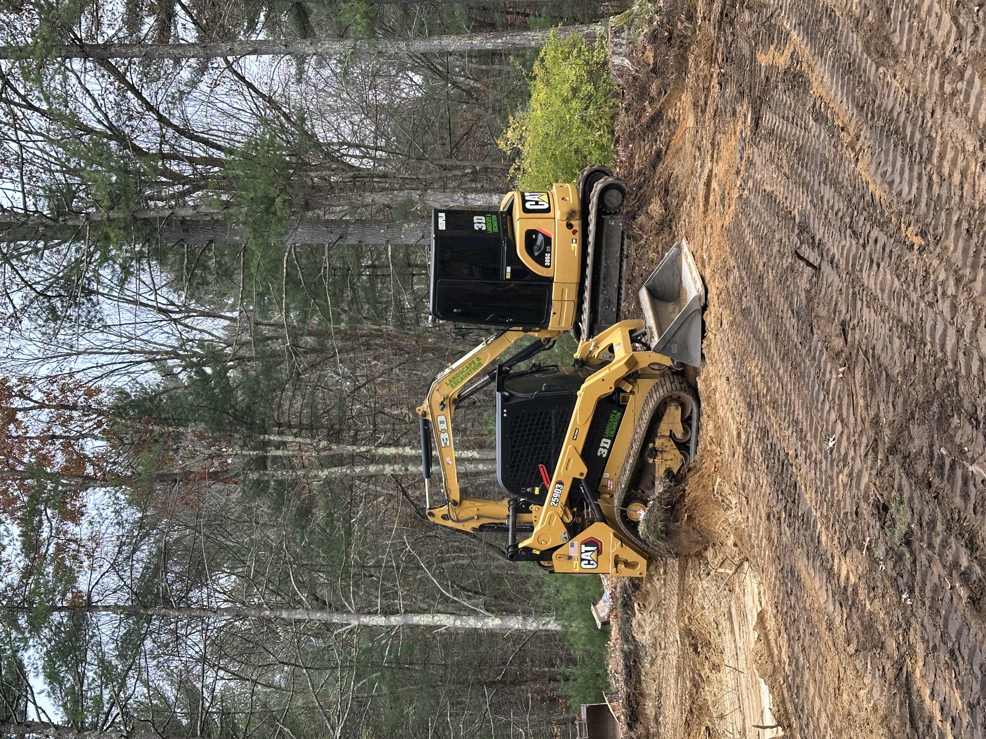 Forestry mulcher clearing dense overgrowth and small trees to reclaim overgrown land in Rhode Island