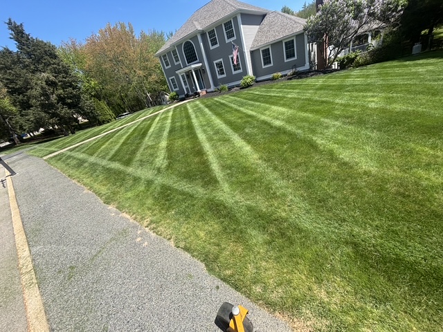 Weekly lawn maintenance mowing on a tidy suburban property in northern Rhode Island