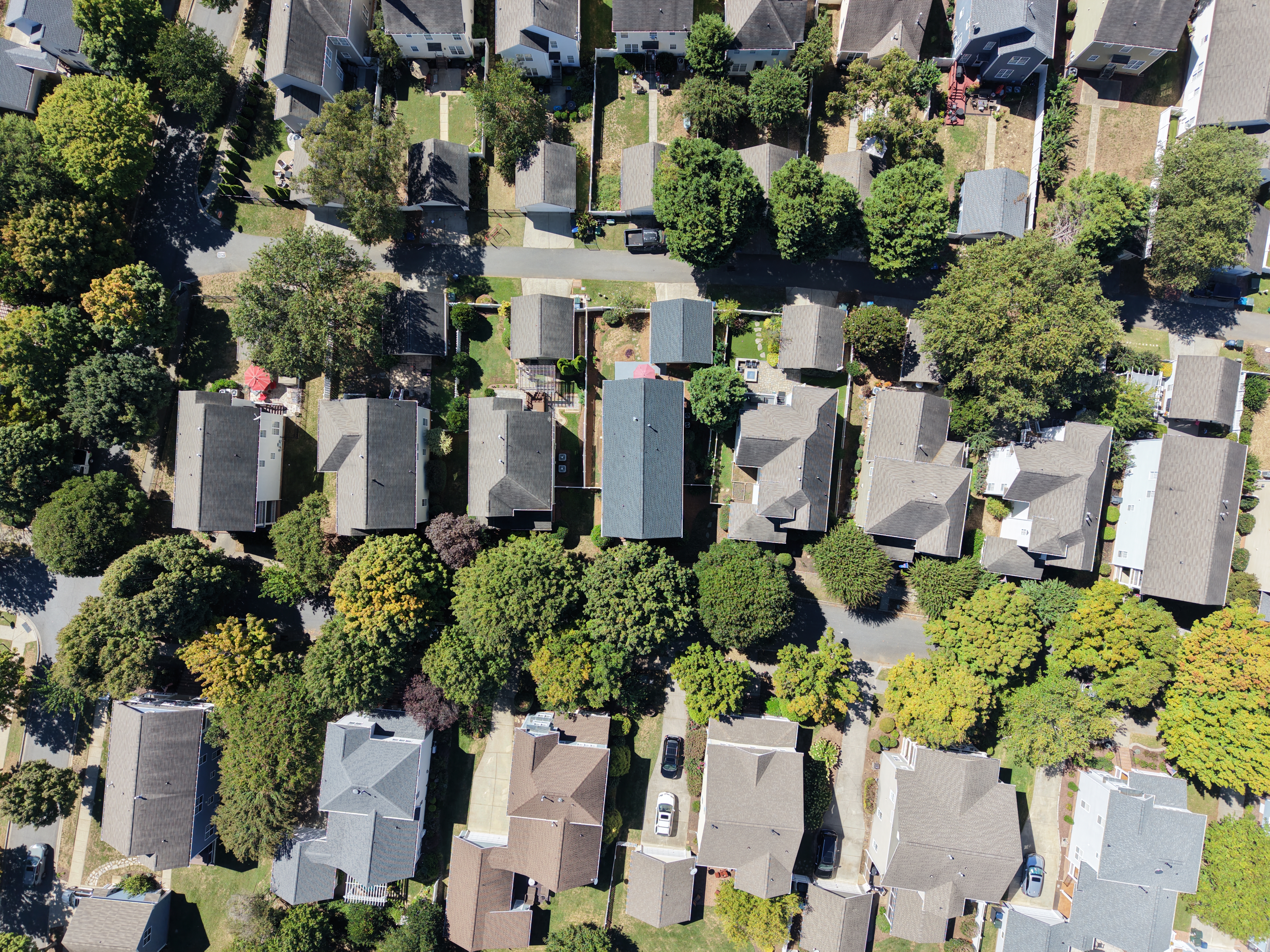 Top-down aerial of a tree-lined residential neighborhood