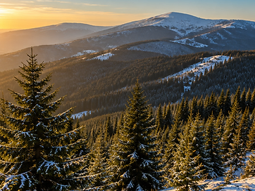Kopaonik