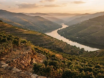Douro Valley