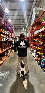 Oakley holding a middle position between his owner's legs in a Bunnings aisle