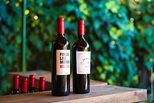 Vino all'edizione del 13 ottobre 2024