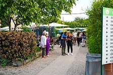 Pubblico in passeggiata — Circolo Arca, 13 ottobre 2024