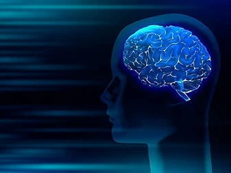 brain