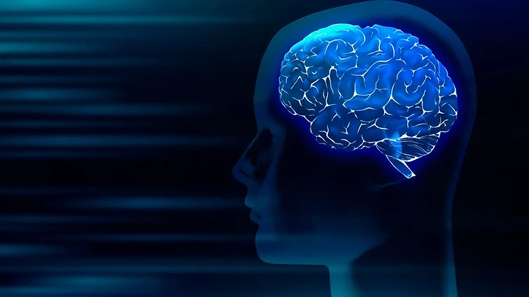 brain