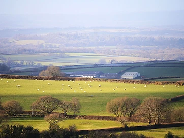 Devon