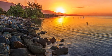Morning Tide